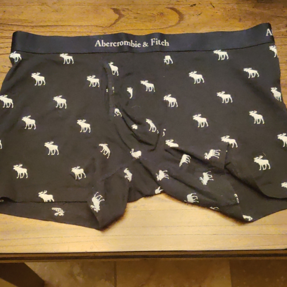 Abercrombie and Fitch Moose Boxer Brief